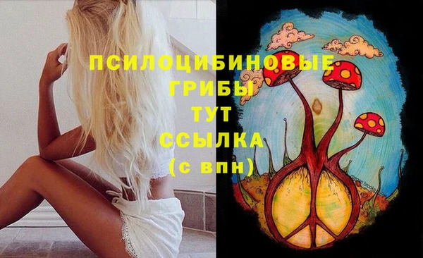 метадон Алексеевка