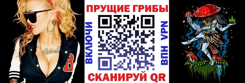 OMG ТОР  Талица  Галлюциногенные грибы Magic Shrooms 