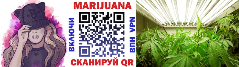 продажа наркотиков  Талица  Бошки марихуана индика 